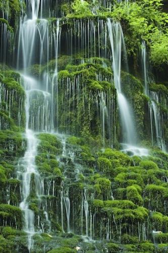 Falls;Spilling;Textures;Flowing;Short Springs State Natural Area;Falling;Chute;Abstractions;Machine Falls;Tennessee;Shapes;Green;Abstract;Cool;Water;Waterfalls;Moss;Mosses;Stream;Wet;Tullahoma;Patterns;Flow;Waterfall